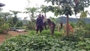 Bukan Sekadar Membersihkan Semak, Babinsa Jaya Ikut Menjaga Pemanfaatan Lahan Warga