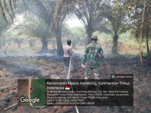 Muara Ancalong Dilanda Karhutla, Sekitar 5 Hektare Lahan Terbakar di Jalan Poros Kelinjau Ulu